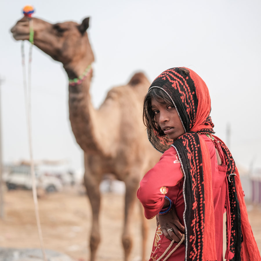 Immerse yourself in the vibrant traditions and thrilling adventures of the Pushkar Camel Fair 2024