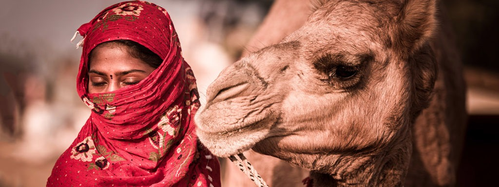 Experience the Heartbeat of Rajasthan – Join Us for the Pushkar Camel Fair 2024 Adventure!