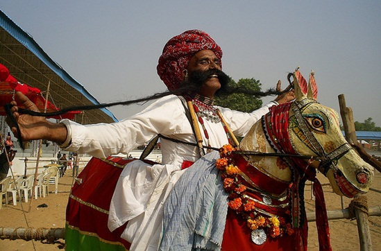 Pushkar Camel Fair 2024: Join the Ultimate 5-Day Tour to Experience Rajasthan’s Most Colorful Festival