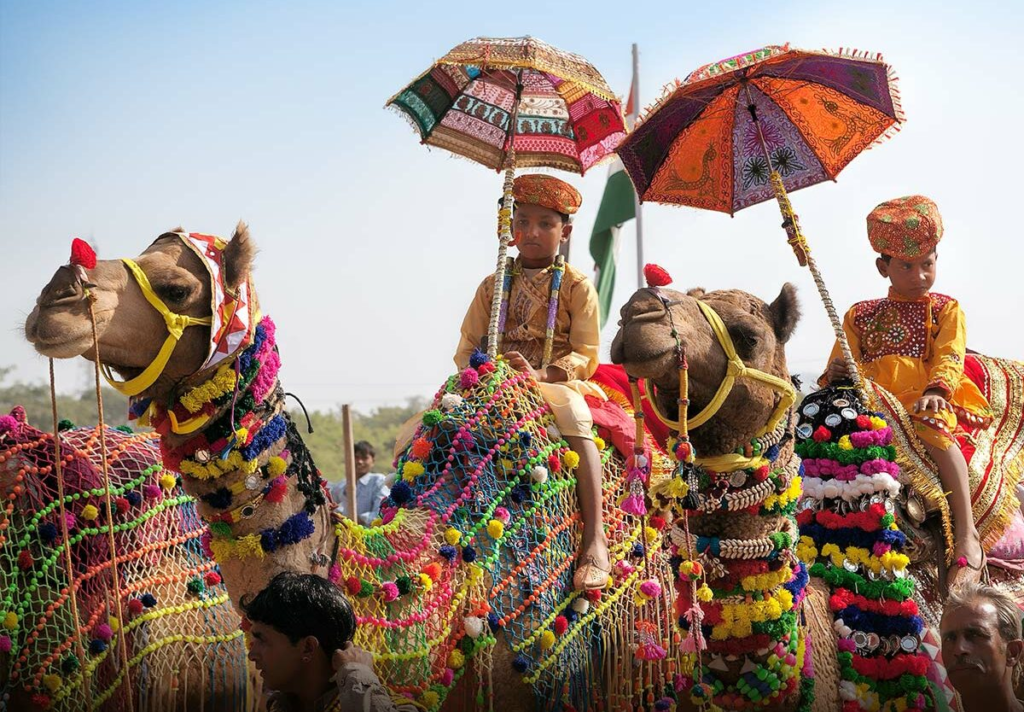 What Makes the Pushkar Camel Fair 2024 a Must-See Event? Discover the Magic!