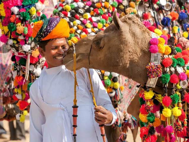 Ever Wondered What the Pushkar Camel Fair is Really Like? Find Out with Our Exclusive Tour!